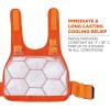 imageErgodyne unisex adult Premium Phase Change  Packs FR Cooling Ice Vest Khaki LargeXLarge USOrange