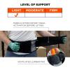 imageErgodyne ProFlex 1051 Mesh Back Support Large BlackXXLarge