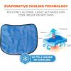 imageErgodyne ChillIts 6670CT Evaporative Cooling Hard Hat Neck ShadeLime