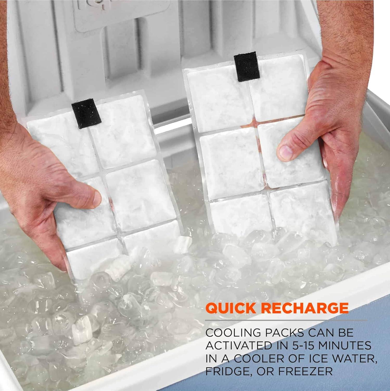 imageErgodyne unisexadult Lightweight Phase Change Cooling Vest With Rechargeable Ice PacksBlack