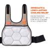 imageCooling Vest with 2 Ice Packs Instant Cooling Relief Flexible Design Ergodyne Chill Its 6230KhakiLXLSM