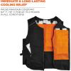 imageErgodyne unisexadult Lightweight Phase Change Cooling Vest With Rechargeable Ice PacksBlack
