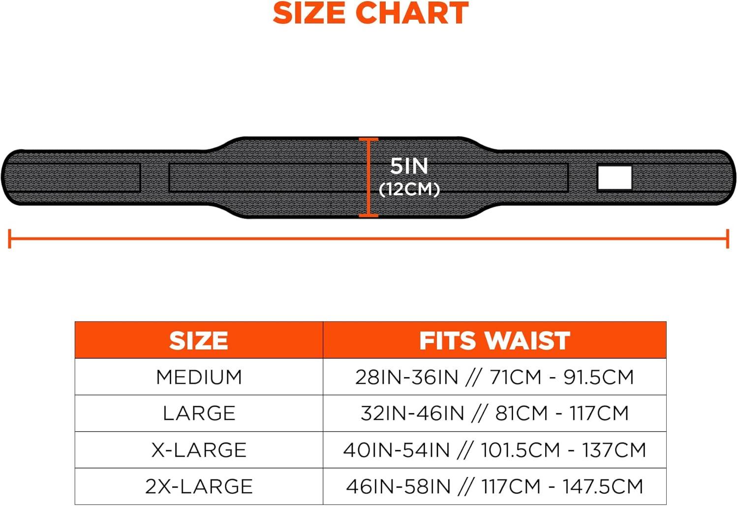 imageErgodyne Arsenal 5555 5Inch Padded Base Layer ToolWork Belt Large  BlackXXLarge