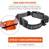 imageErgodyne Skullerz 8980 Universal Headlamp Strap for Ergodyne Removable Headlamps Adjustable Nylon Headband Strap