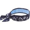 imageErgodyne Chill Its Cooling Bandana Lined with Evaporative PVA Material for Fast Cooling Relief Tie for Adjustable Fit Navy Western 2Pack