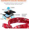 imageErgodyne Chill Its 6700 Cooling Bandana Evaporative Polymer Crystals For Cooling Relief Tie For Adjustable Fit 6Pack Blue12305