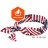 imageErgodyne Chill Its 6700 Cooling Bandana Evaporative Polymer Crystals For Cooling Relief Tie For Adjustable Fit 6Pack BlueRed  White  Blue