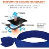 imageErgodyne Chill Its 6700 Cooling Bandana Evaporative Polymer Crystals For Cooling Relief Tie For Adjustable Fit 6Pack BlueSolid Blue