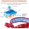 imageErgodyne Chill Its 6700CT Cooling Bandana Lined with Evaporative PVA Material for Fast Cooling Relief Tie for Adjustable Fit BlueRed Western