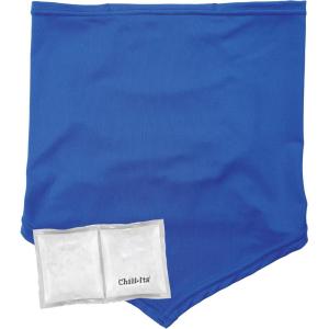 image:imageErgodyne Chill Its 6483 Cooling Neck Gaiter Bandana with Pocket for Ice or 6283 Phase Change Cool Pack UPF 50 Sun ProtectionBlue LargeXLargeCooling Neck Gaiter Bandana Pocket Kit